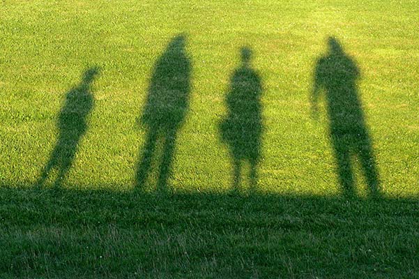 ダイバシティー