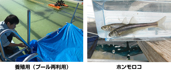 養殖事業