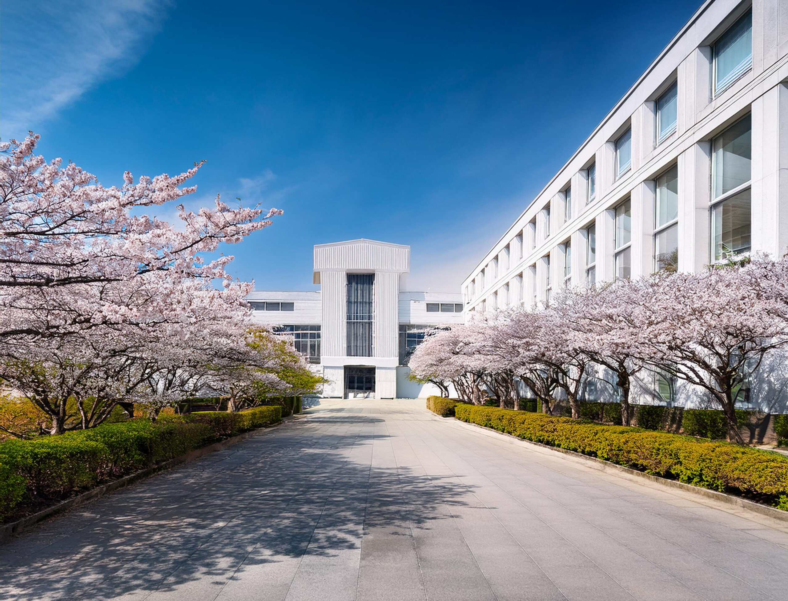 桜美林大学イメージ