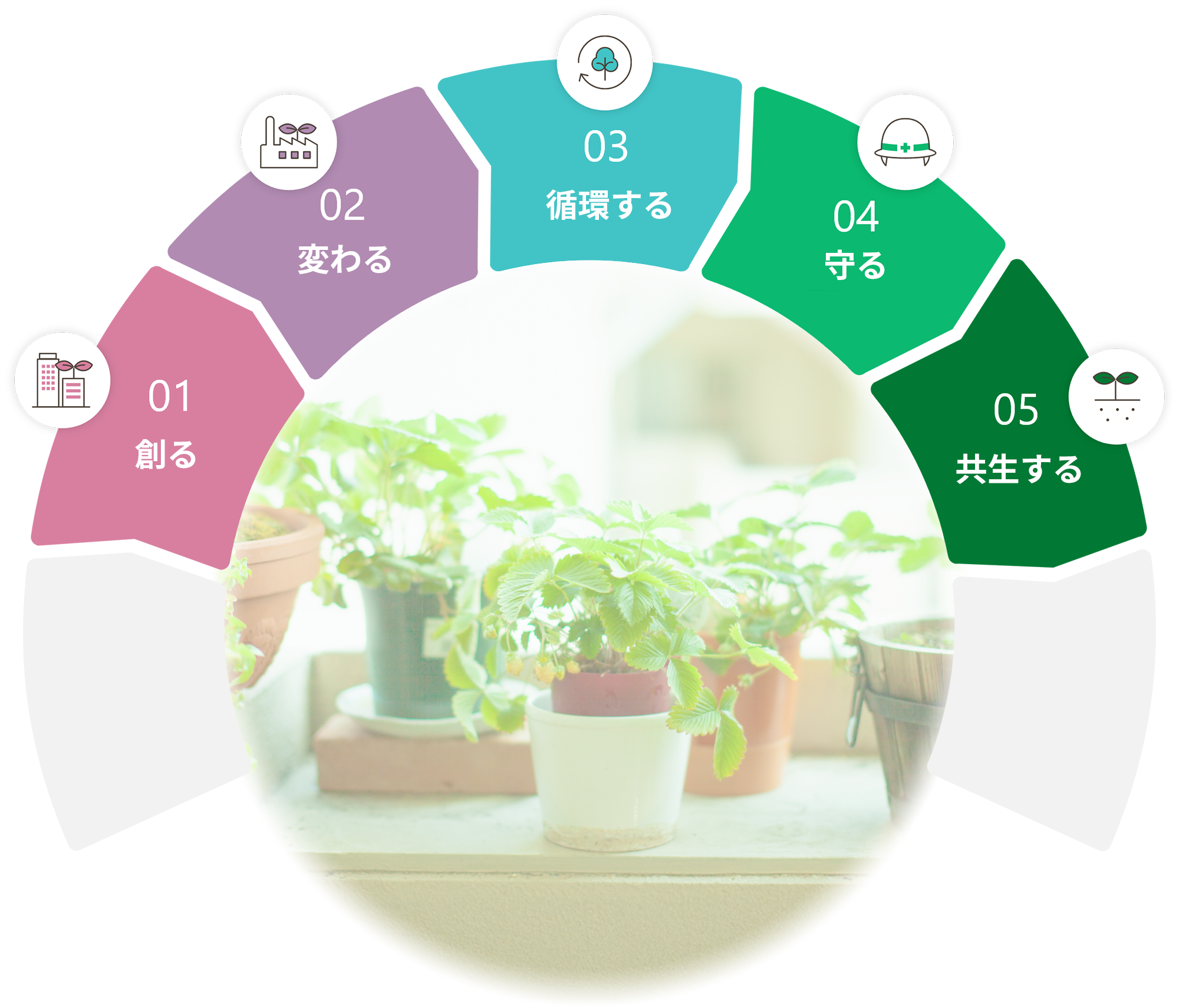 ソリューション軸イメージ